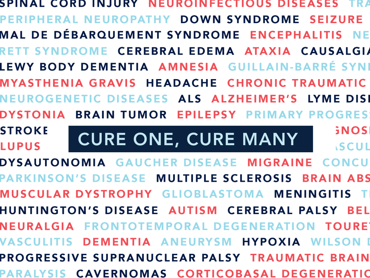 Why We Believe in Cure One Cur eMany